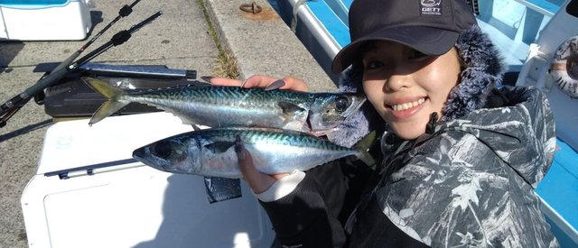 サバ(ゴマサバ)