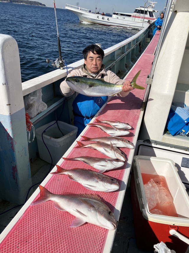 マダイ・ワラサ(ブリ)