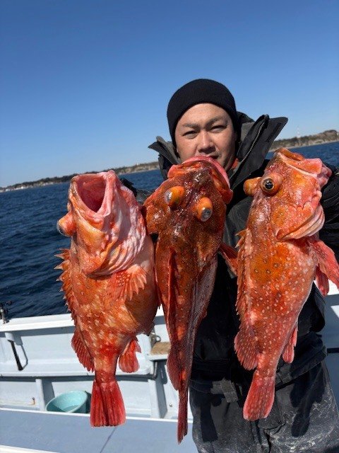 カンコ(ウッカリカサゴ)