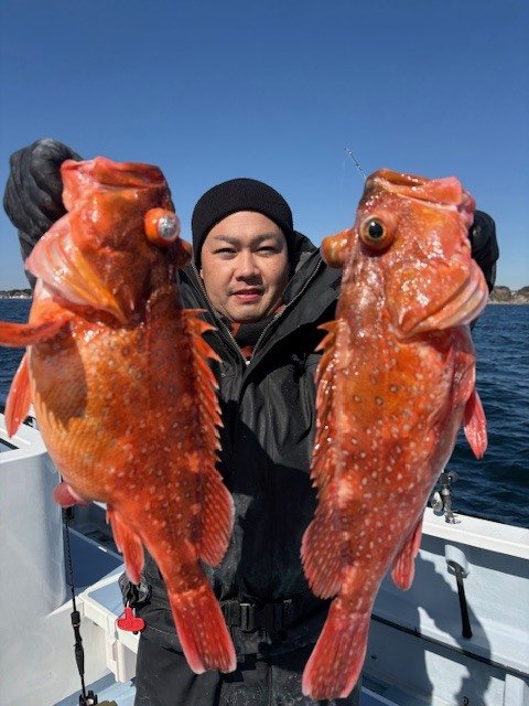 カンコ(ウッカリカサゴ)