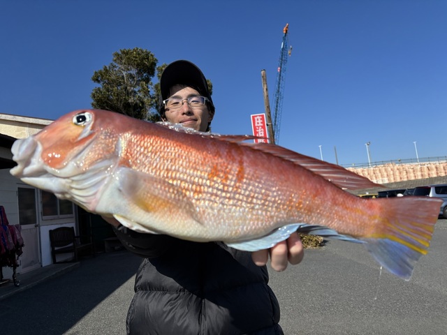 アマダイ(アカアマダイ)