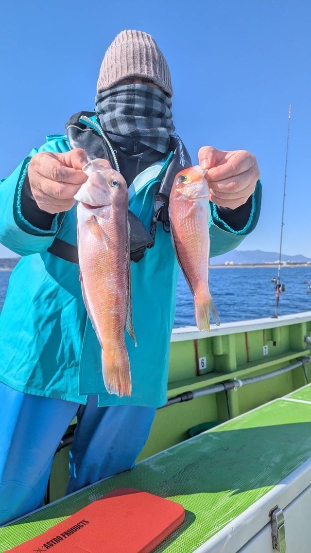 アマダイ(アカアマダイ)