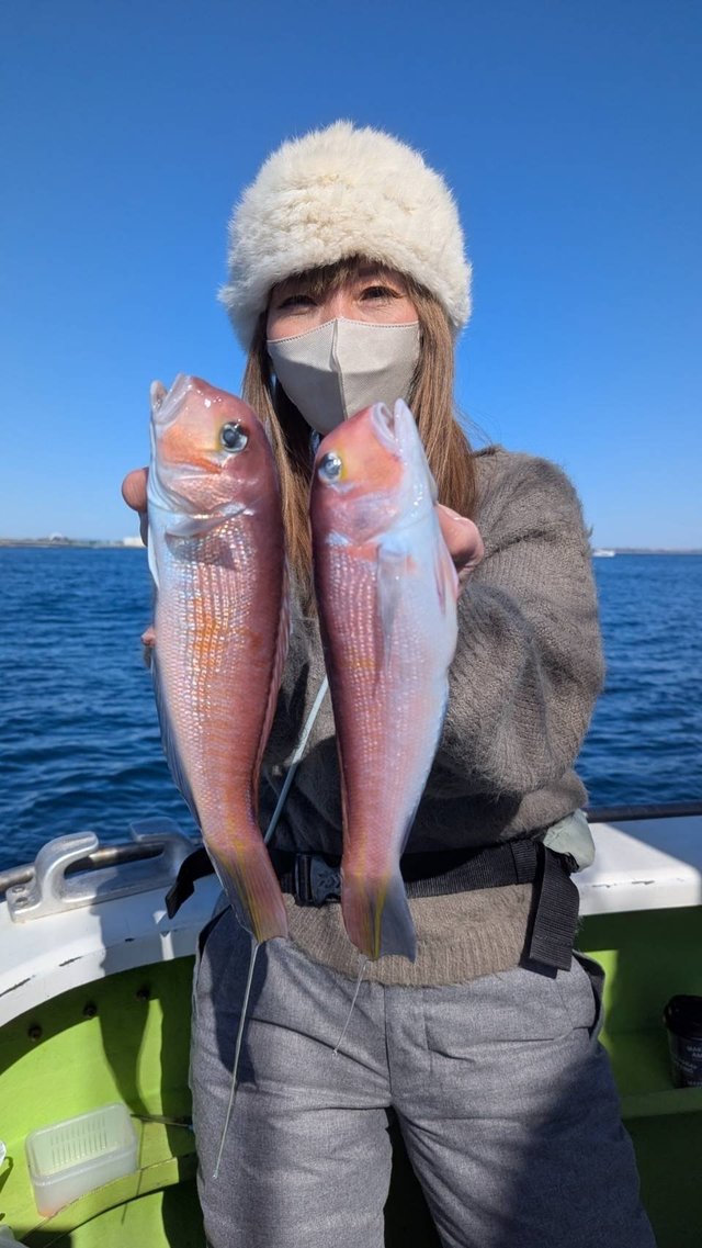 アマダイ(アカアマダイ)