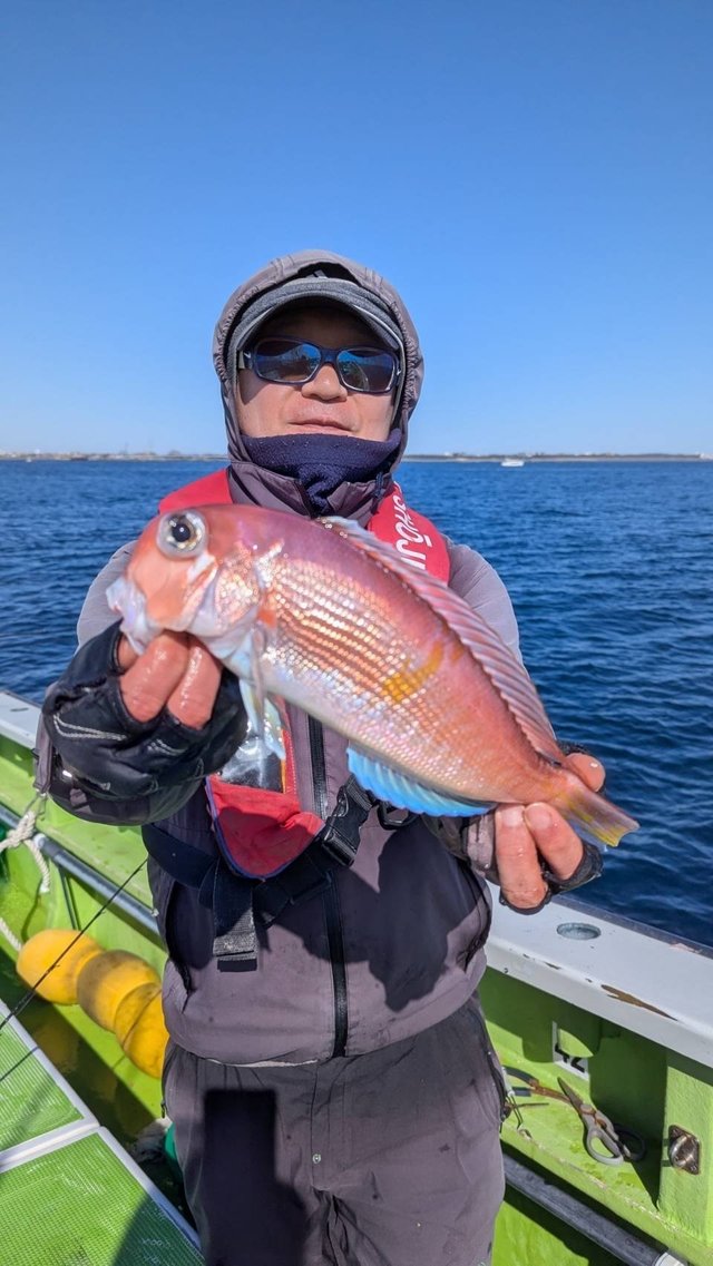 アマダイ(アカアマダイ)