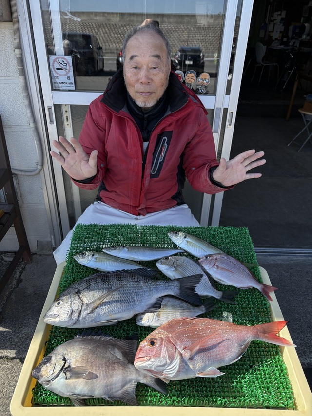 マダイ・クロダイ・アジ(マアジ)