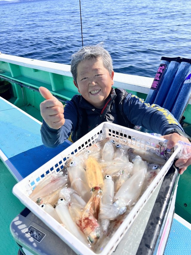 マルイカ(ケンサキイカ)