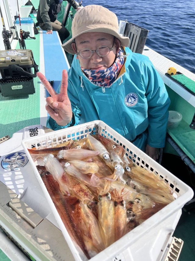 マルイカ(ケンサキイカ)