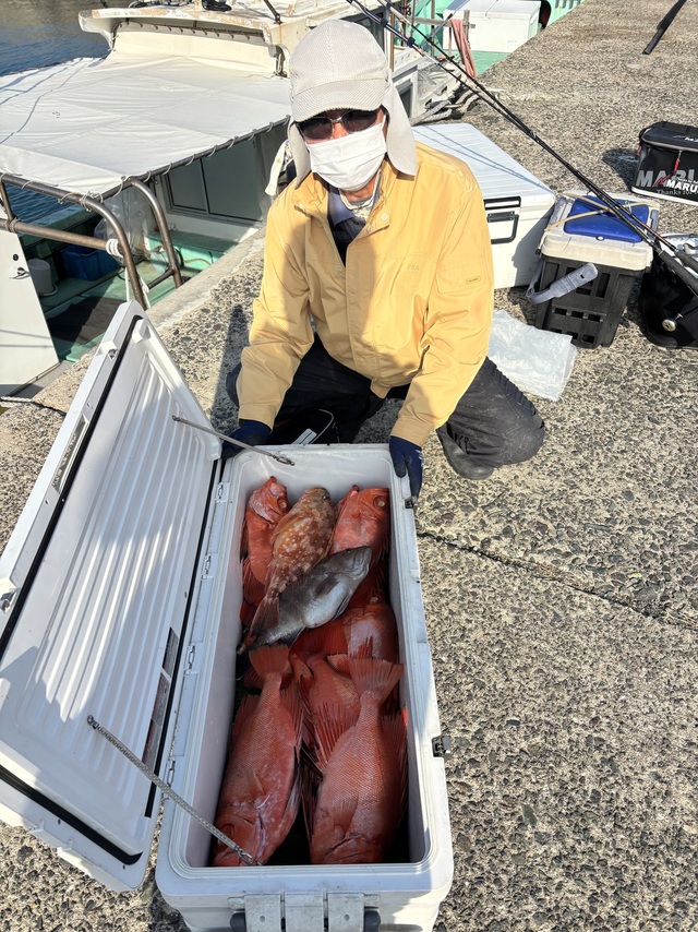 タカバ(マハタ)・アコウ(キジハタ)・チカメキントキ・ボッコ(カサゴ)・アラカブ(カサゴ)