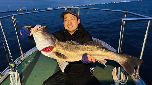 シーバス(スズキ)