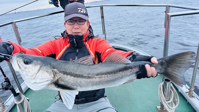 シーバス(スズキ)