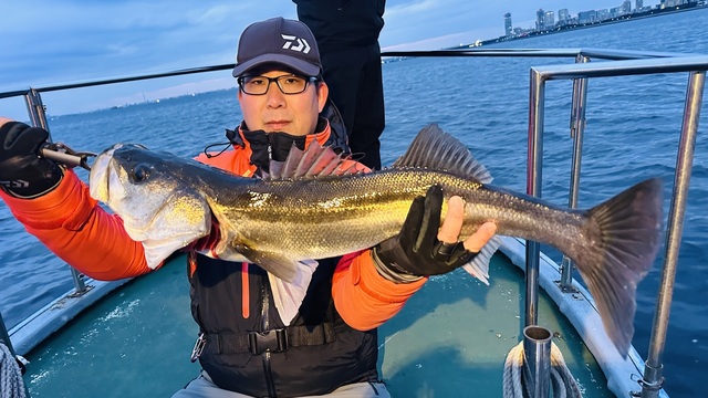 シーバス(スズキ)