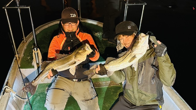 シーバス(スズキ)