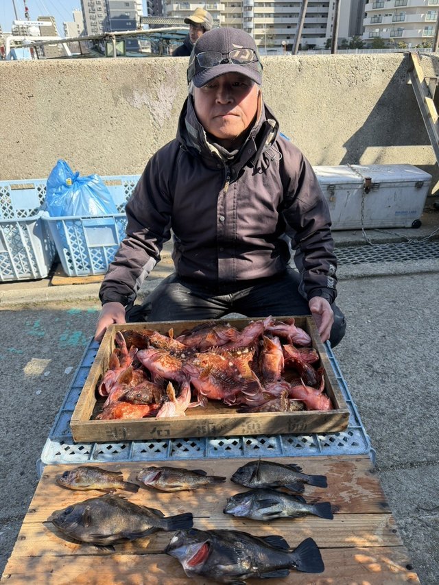 ガシラ(カサゴ)・メバル