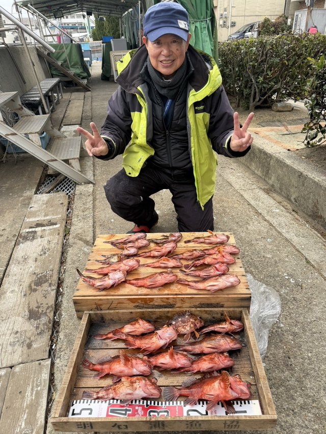 ガシラ(カサゴ)