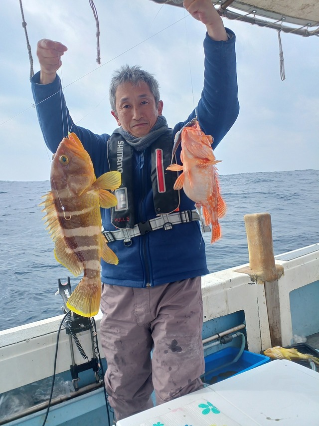 アオナ(アオハタ)・アラカブ(カサゴ)