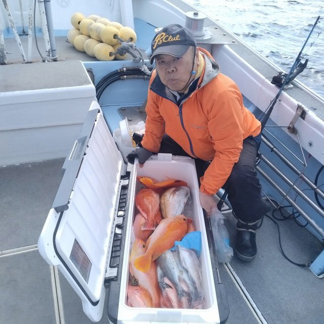 アカイサキ・イサキ