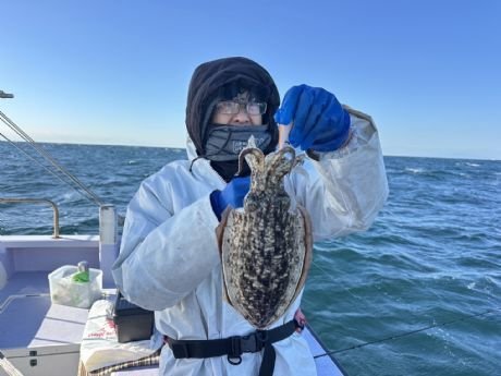 スミイカ(コウイカ)