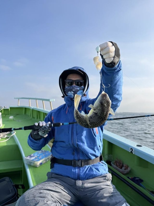 フグ(ショウサイフグ)