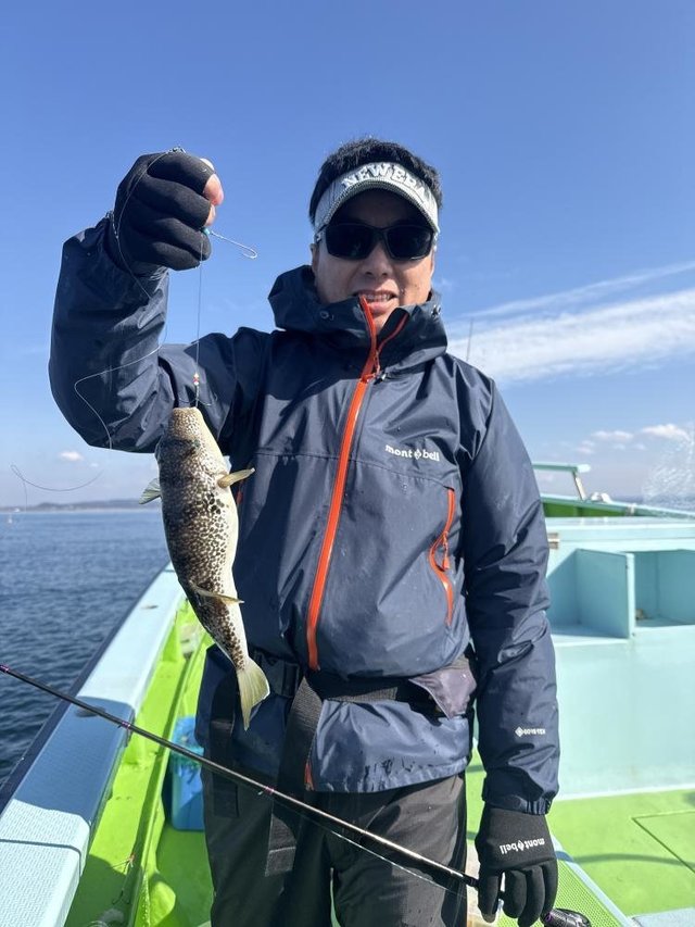 フグ(ショウサイフグ)