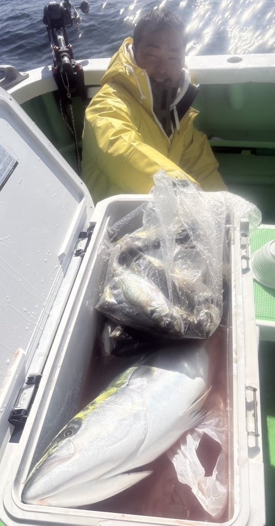 アジ(マアジ)・ブリ