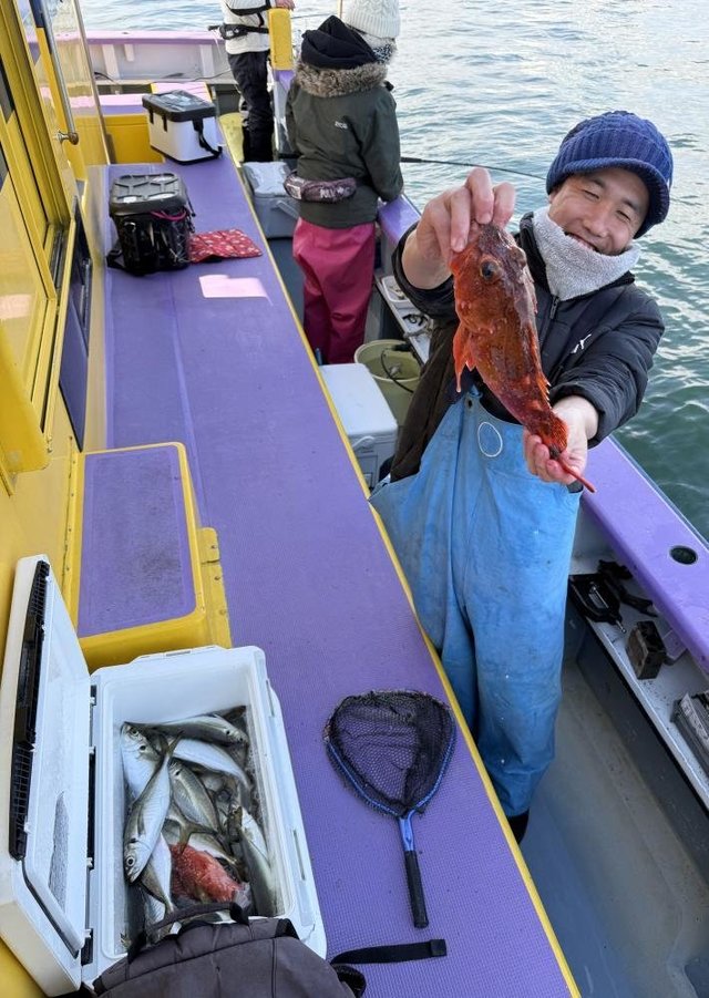 アジ(マアジ)・ムツ