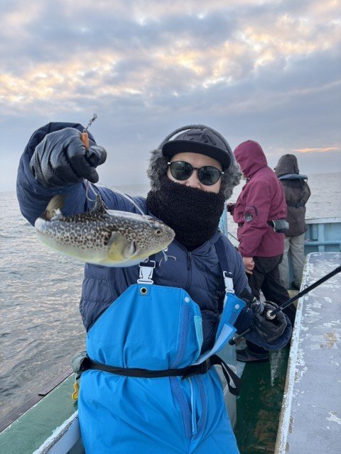 フグ(ショウサイフグ)