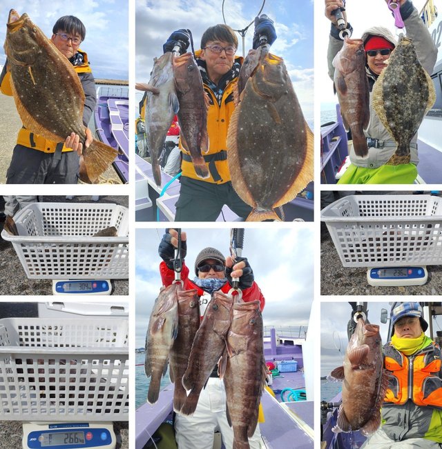 マハタ・ヒラメ