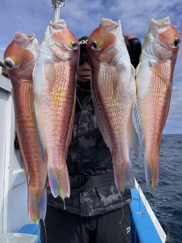 アマダイ(アカアマダイ)