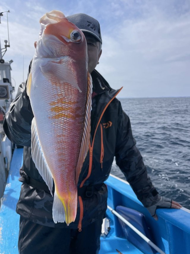 アマダイ(アカアマダイ)