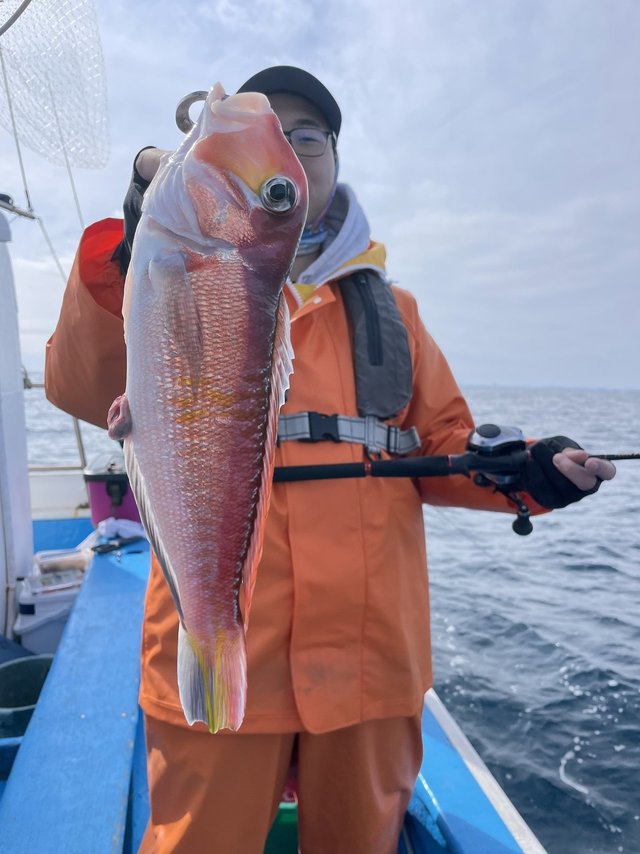 アマダイ(アカアマダイ)