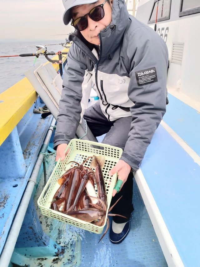 スルメ(スルメイカ)