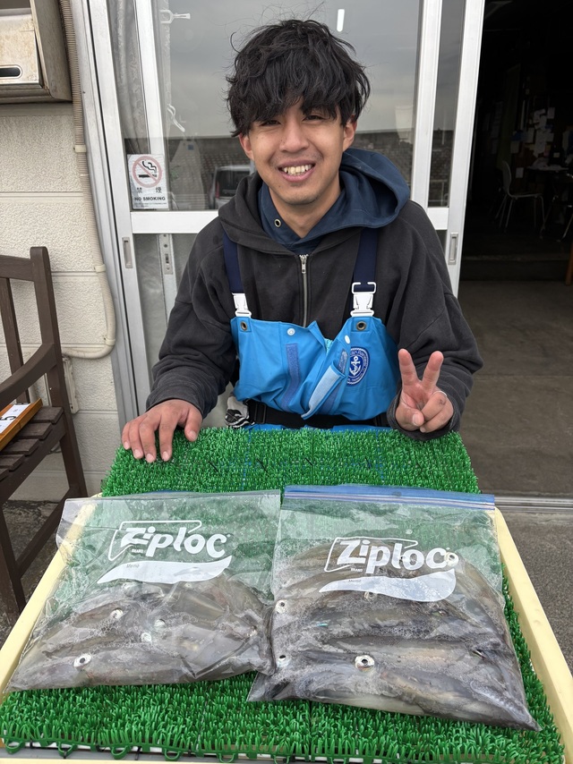 マルイカ(ケンサキイカ)