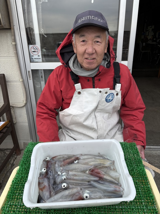 マルイカ(ケンサキイカ)