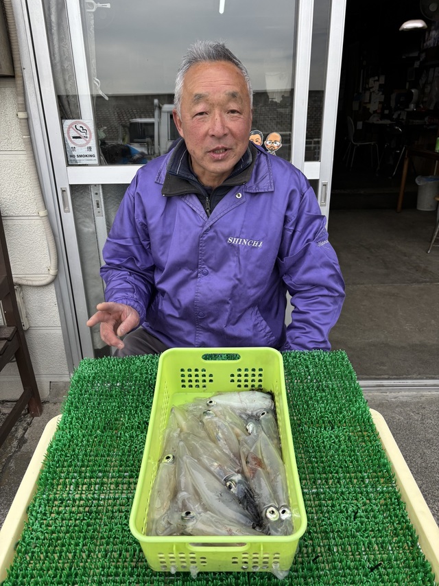 マルイカ(ケンサキイカ)