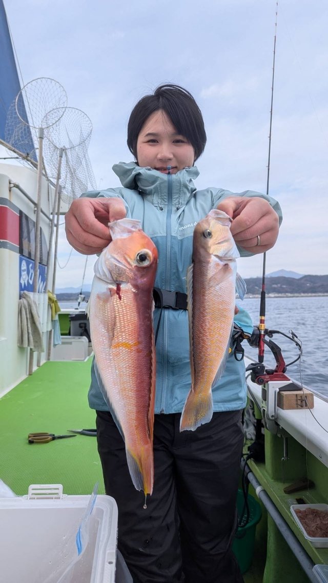 アマダイ(アカアマダイ)