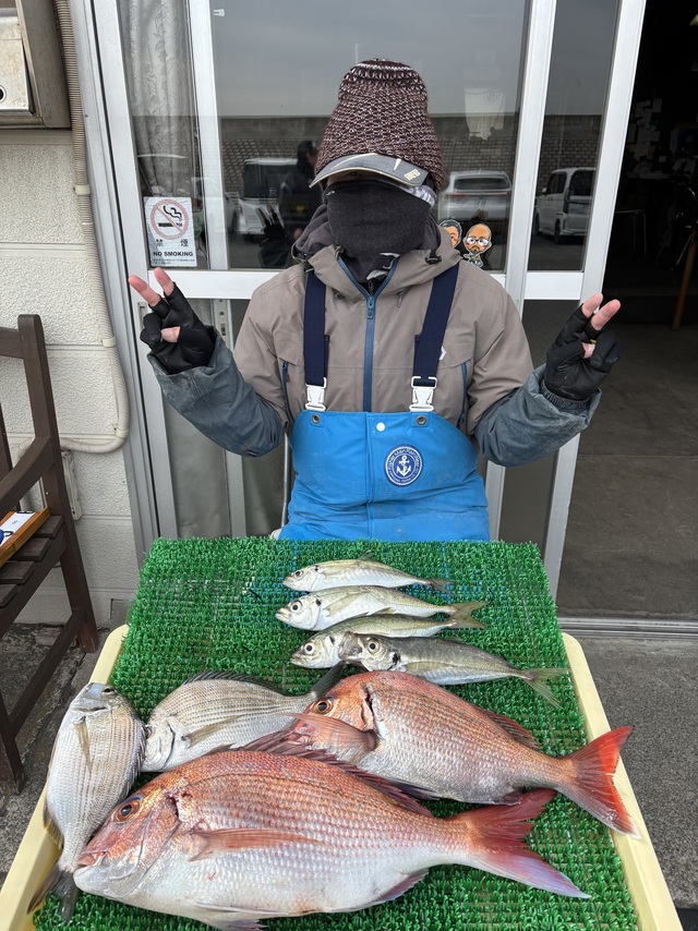 マダイ・アジ(マアジ)