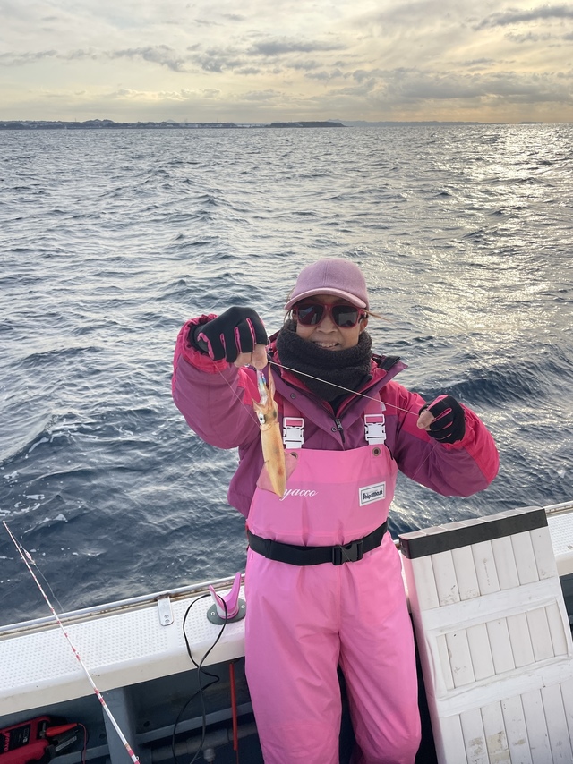 マルイカ(ケンサキイカ)