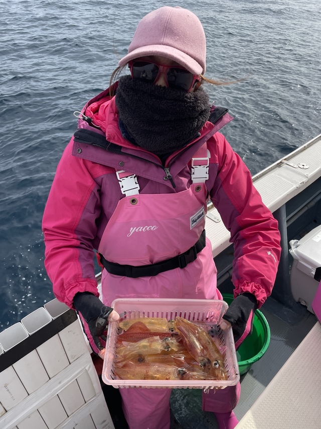 マルイカ(ケンサキイカ)