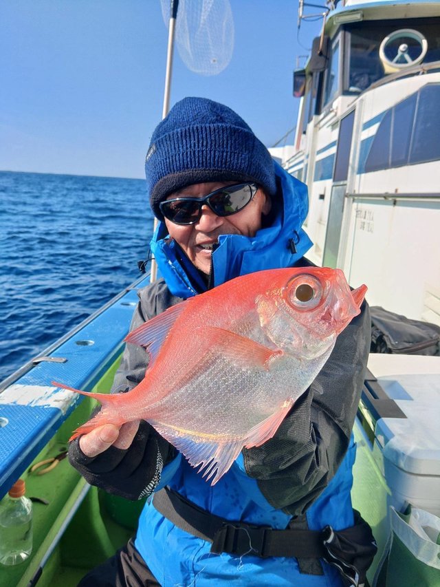 フウセンキンメ