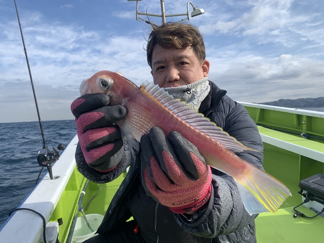 アマダイ(アカアマダイ)