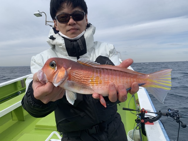 アマダイ(アカアマダイ)