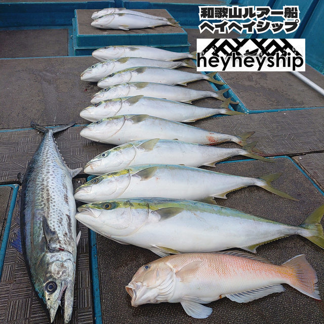 メジロ(ブリ)・シロアマダイ・サワラ