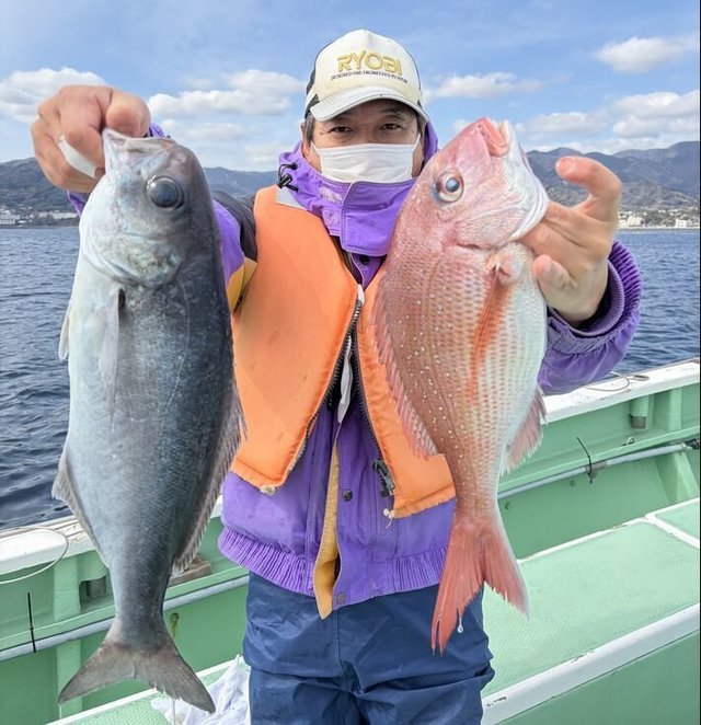 マダイ・メダイ