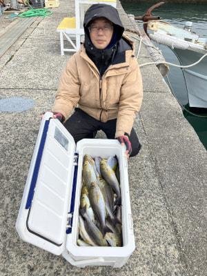 ウメイロ・イサギ(イサキ)