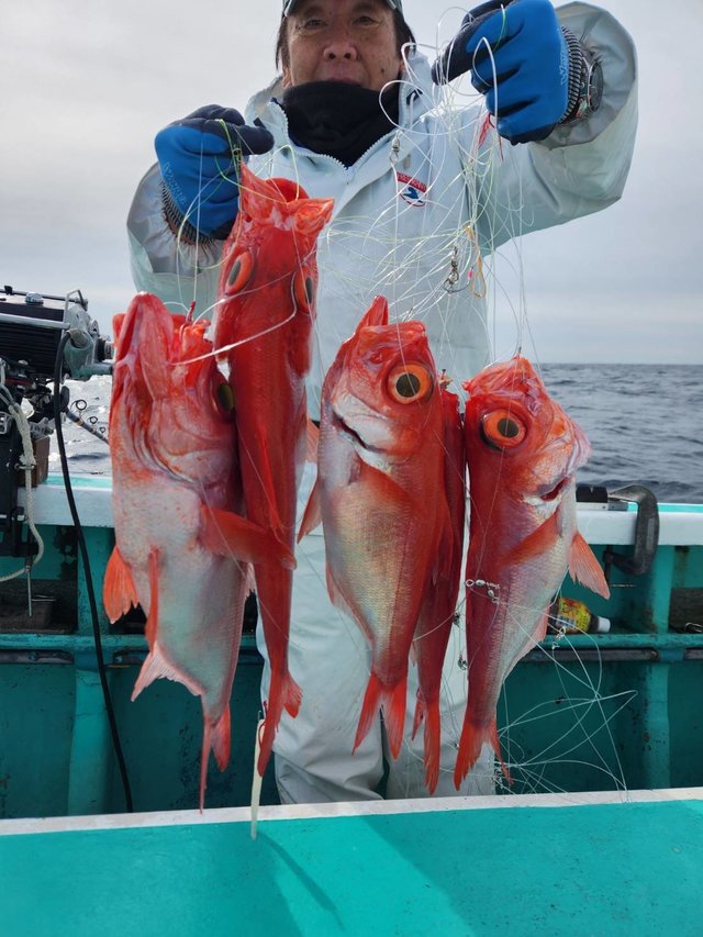 キンメ(キンメダイ)