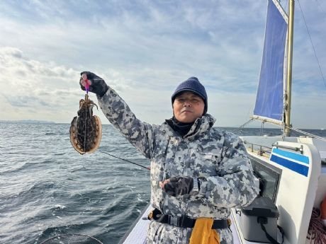 スミイカ(コウイカ)