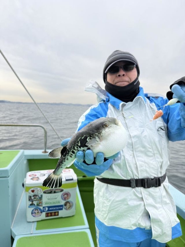 フグ(トラフグ)