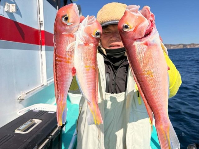 アマダイ(アカアマダイ)