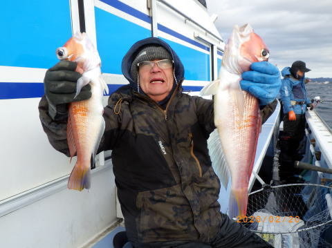 アマダイ(アカアマダイ)