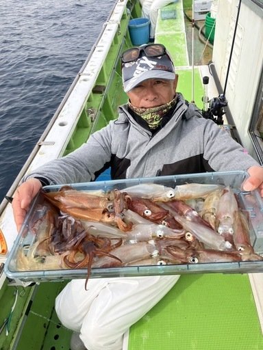 マルイカ(ケンサキイカ)